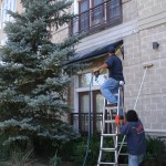 Ladders Were Used To Pressure Wash Around Trees And Shrubs