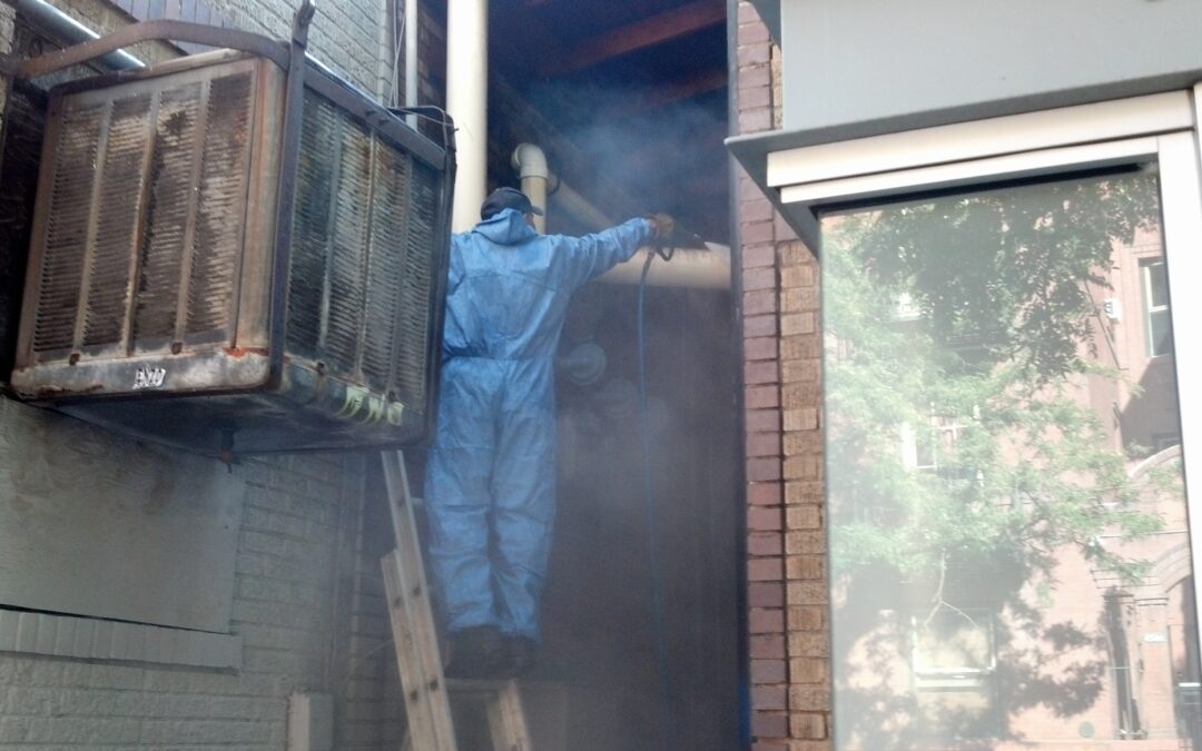 Cleaning Up After Unwanted Guests at Voodoo Doughnuts