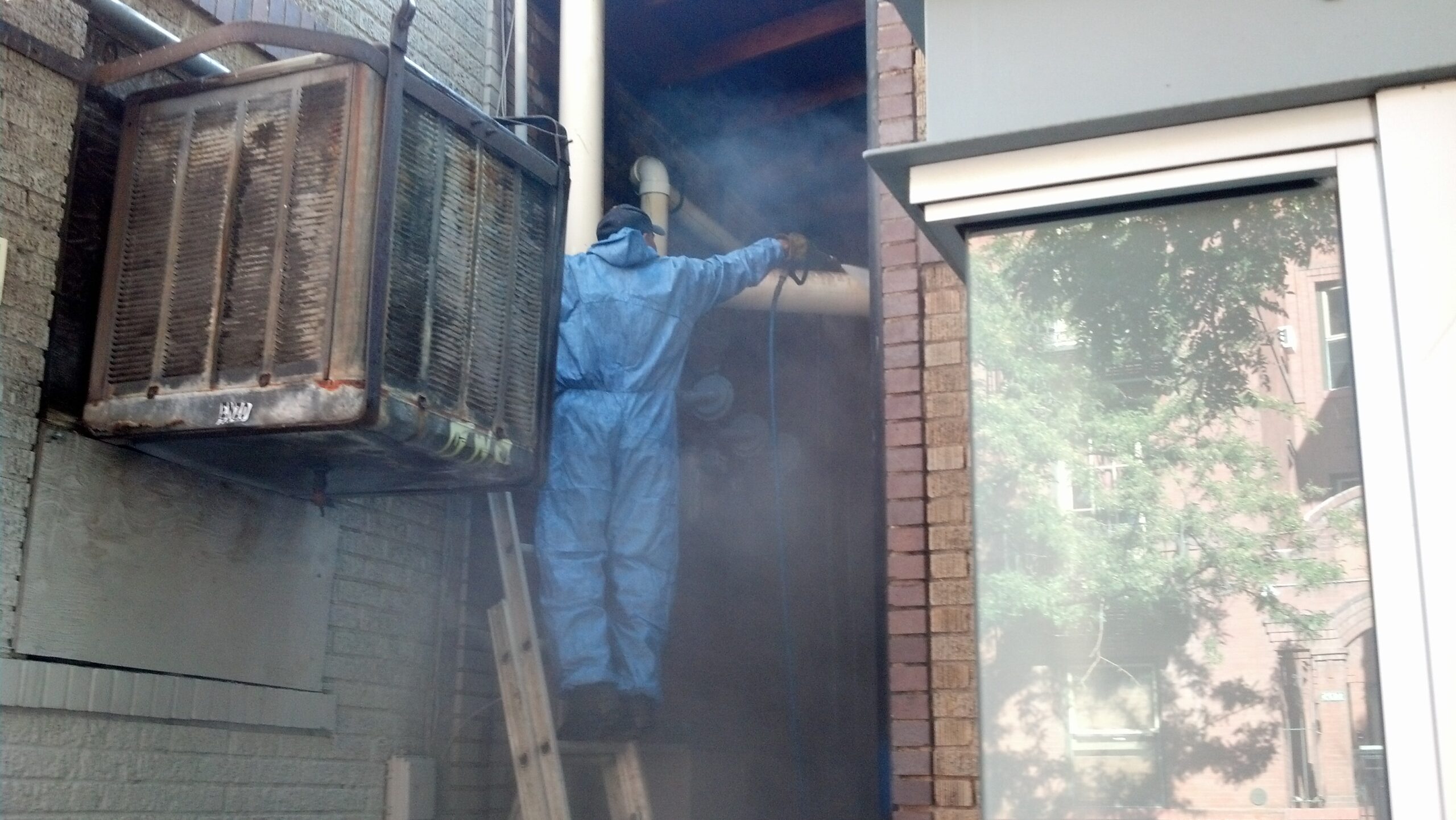 Cleaning Up Bird Droppings at Voodoo Donuts in Denver, Colorado