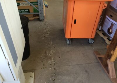 Cleaning a Home Depot Garden Center in Thornton, Colorado