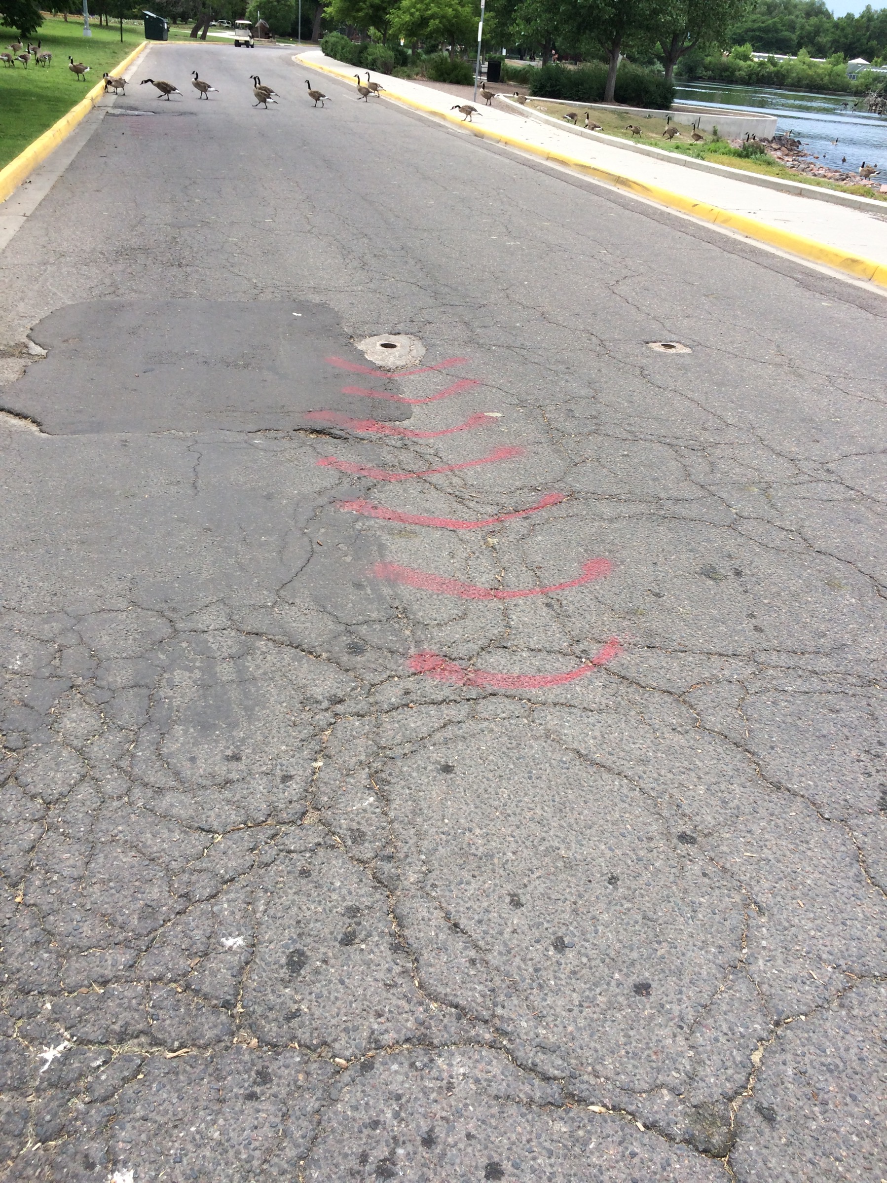 Pressure Washing With Water Recovery To Remove Bike Race Markings From Roadways - Before