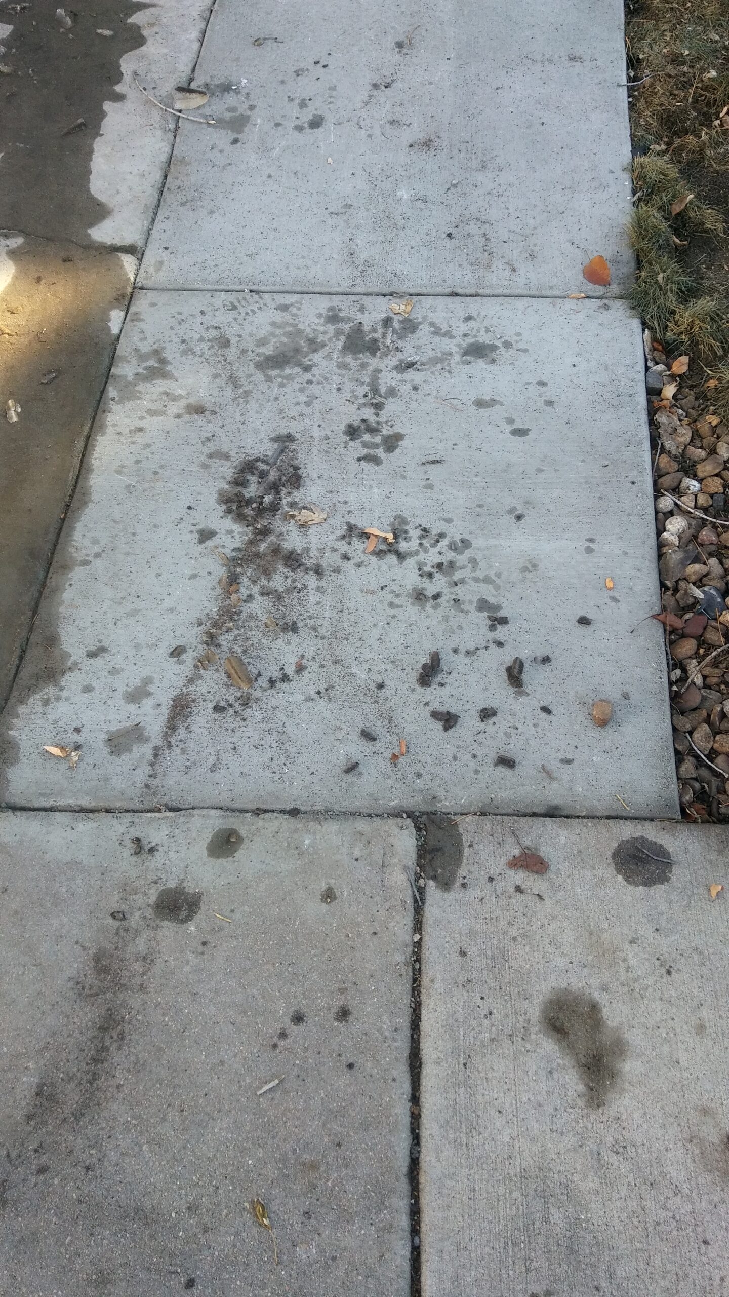 Hydraulic oil spill cleanup on a Denver, Colorado driveway