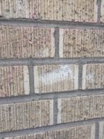 Amateur Graffiti Removal Destroys Brick Wall 04