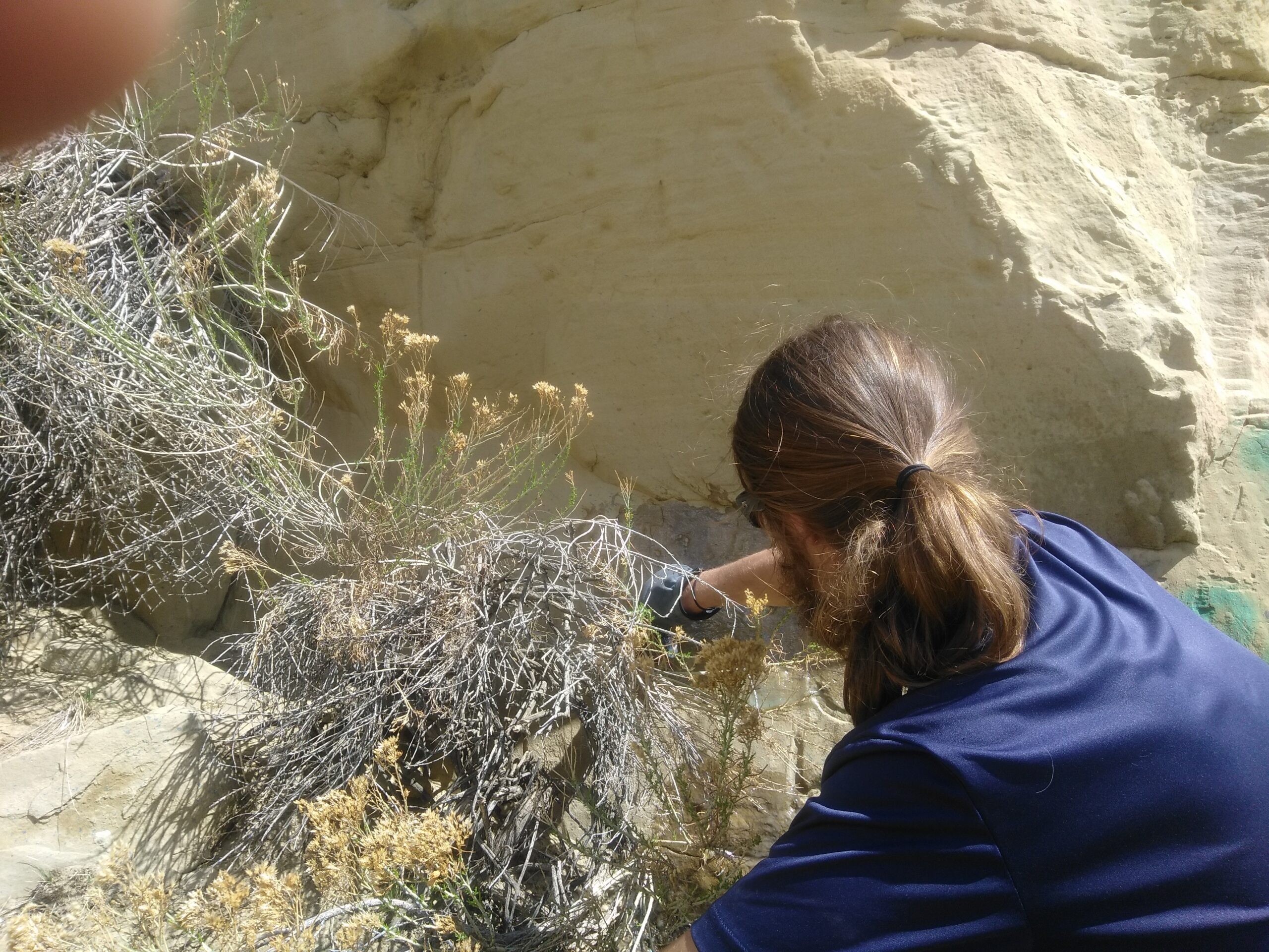 Graffiti Removal At Longmont's Sandstone Ranch 19