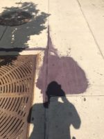 Paint Spill Cleanup On Downtown Denver Sidewalk 05